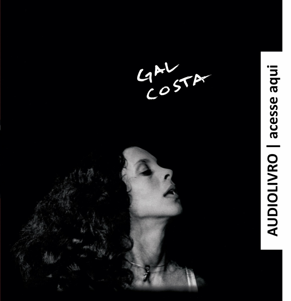 Audiolivro | Gal Costa